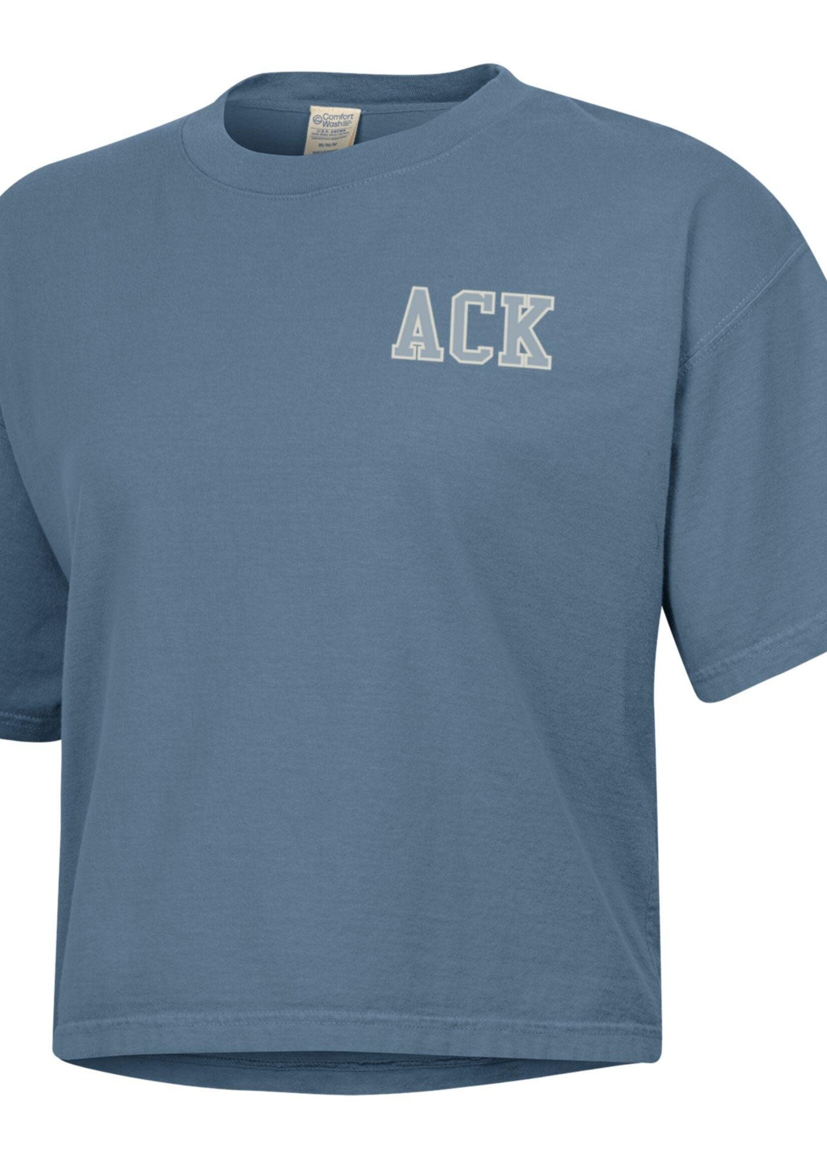 Comfort Wash Comfort Wash Ladies Tee Left Chest ACK