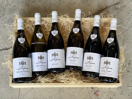 New producer: P&M Jacqueson case selection offer