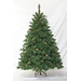 Christmas Tree Forestal Pine CC65417