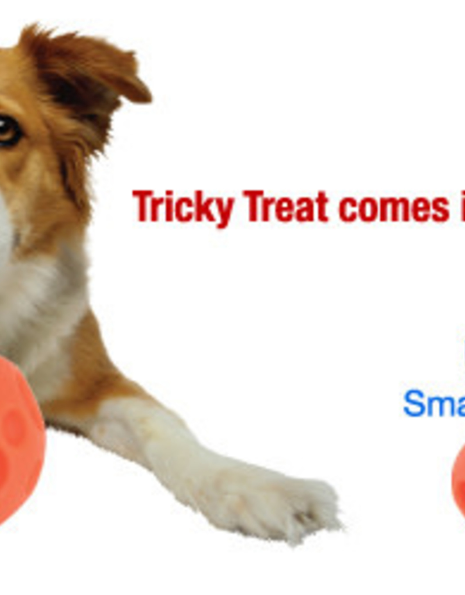 Omega Paw Tricky Treat Ball