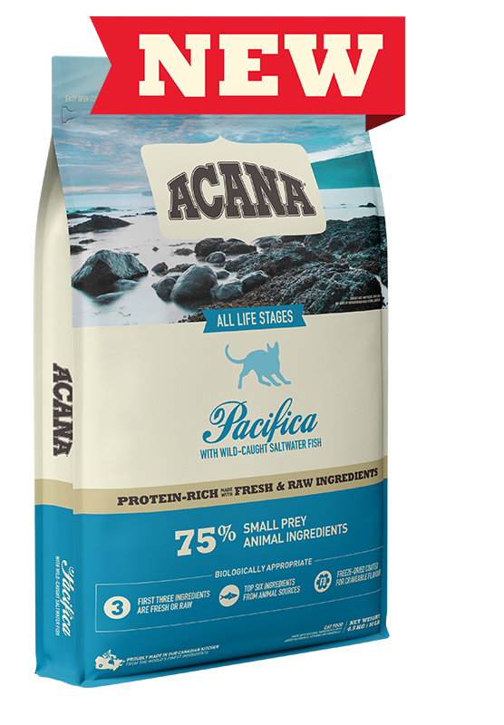 Champion Acana All Canadian Cat Food Pacifica Dorchester Pet Care