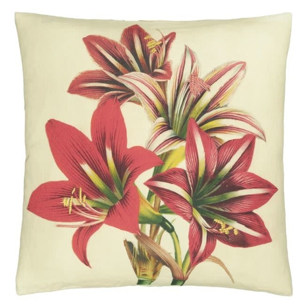 Designers Guild Designers Guild Amaryllis Carmine Cushion 20x20