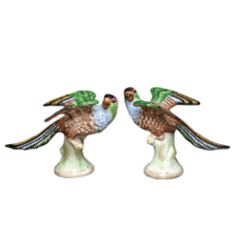 Mottahedeh Mottahedeh Parakeets - Pair