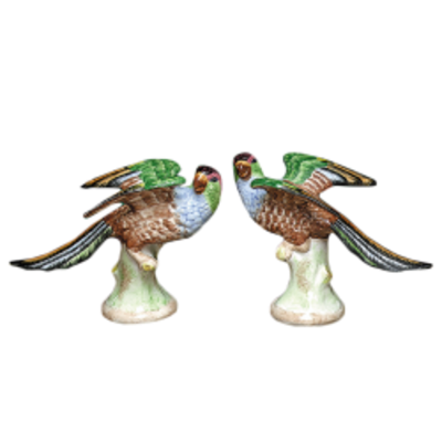 Mottahedeh Mottahedeh Parakeets - Pair