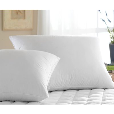 Downright Downright Organa Standard Pillow - Firm