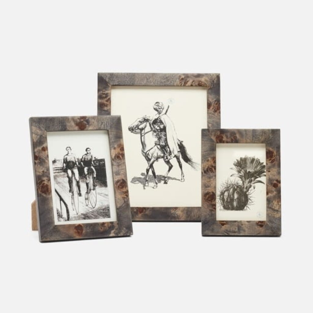 Pigeon & Poodle Pigeon & Poodle Nelson Mappa Burl Picture Frames