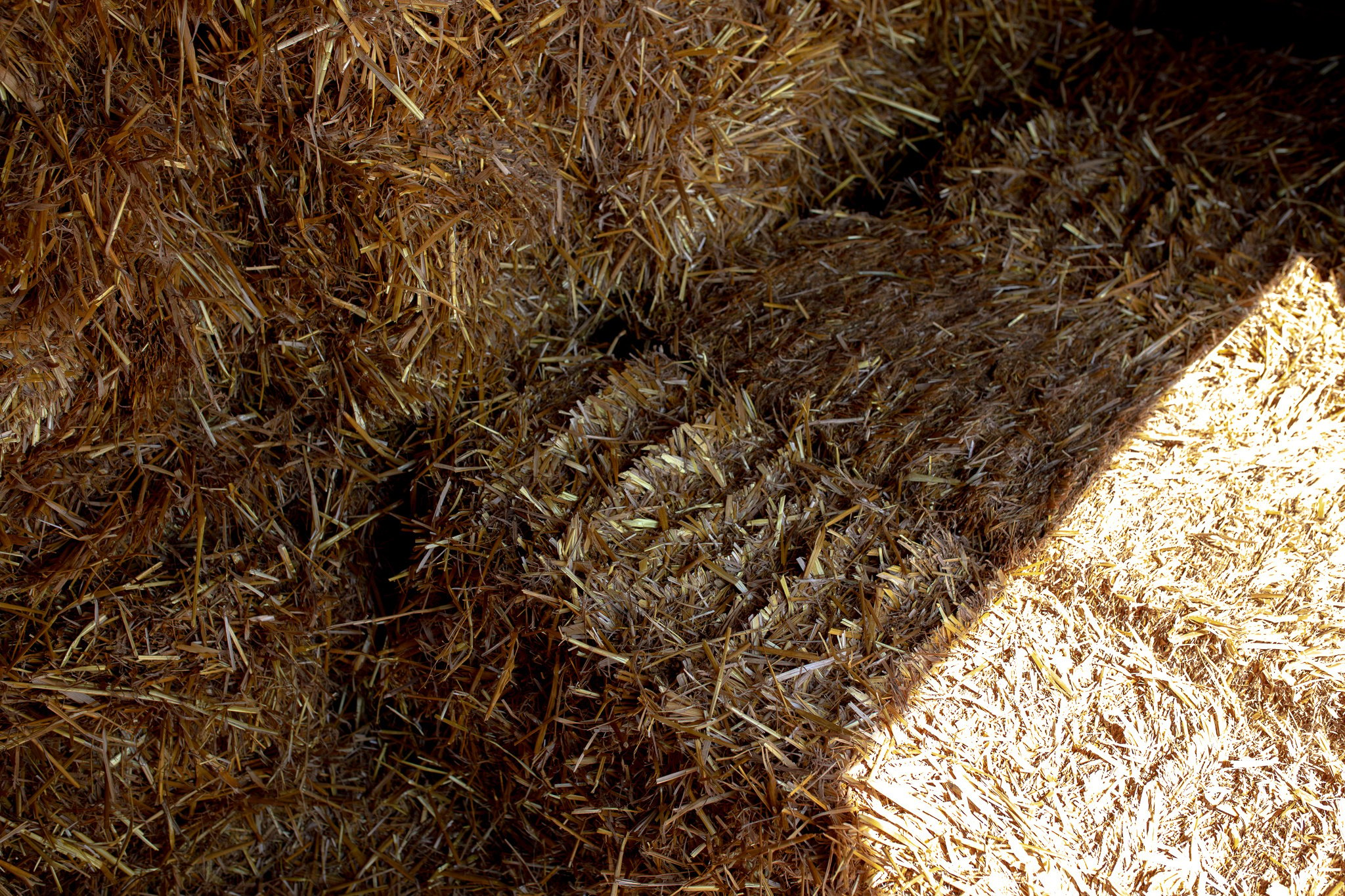 Wheat Straw Bale Ideal for Horses and other pets 