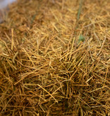 Grass Hay