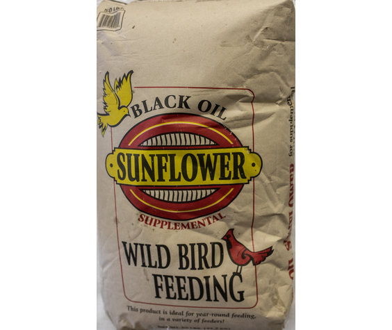 Black Oil Sunfl 50#