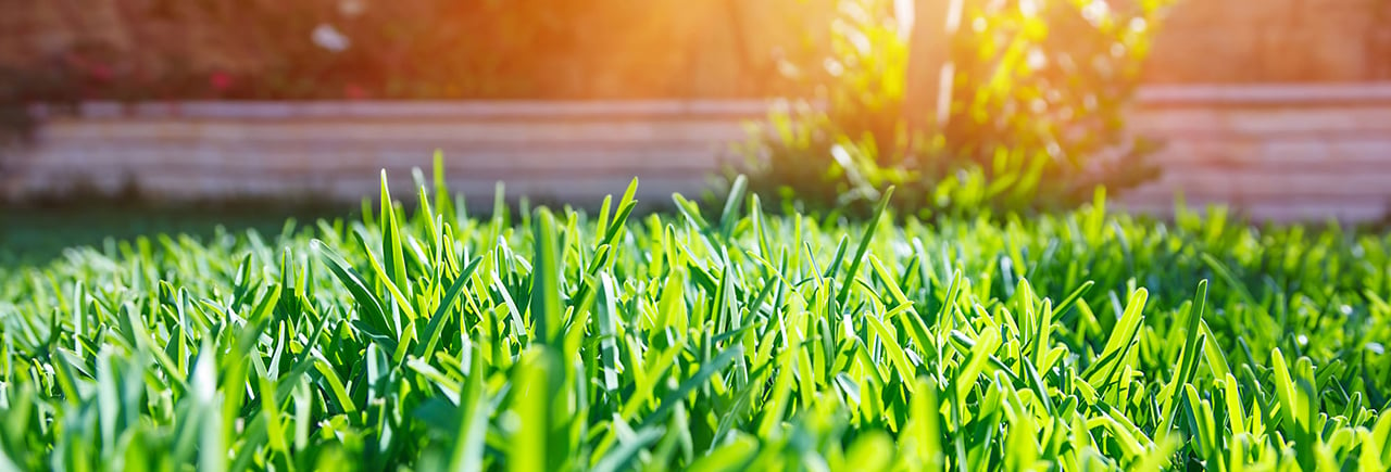 Perfectly Maintained Lawn and Sunset