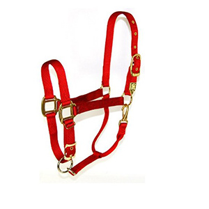 Hamilton Halters