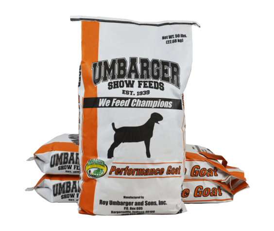 Umbarger Next Level Goat