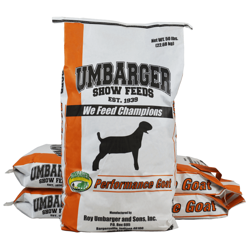 Umbarger Next Level Goat