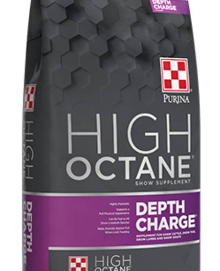 Depth Charge 40lb