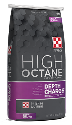 Depth Charge 40lb