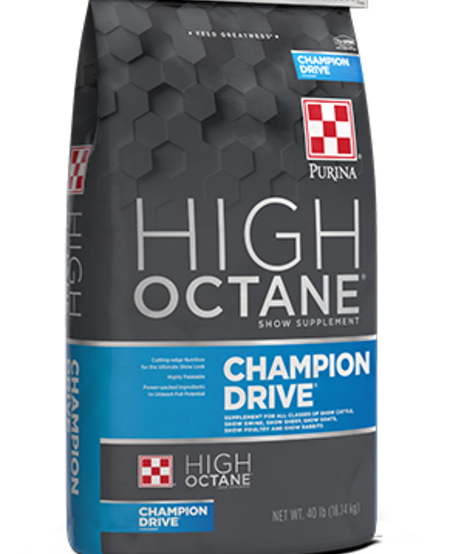 HIGH OCTANE CHAMP DRIVE TOPDRS