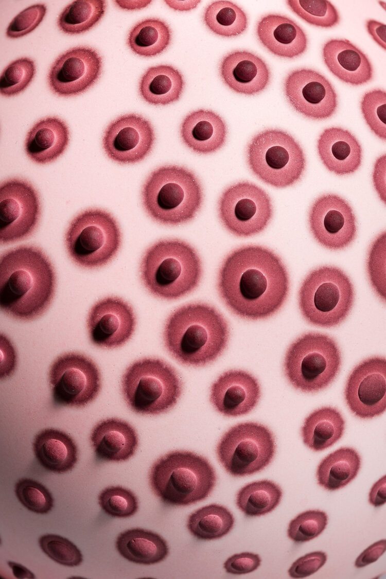 Elyse Graham Petri Vase in Blush