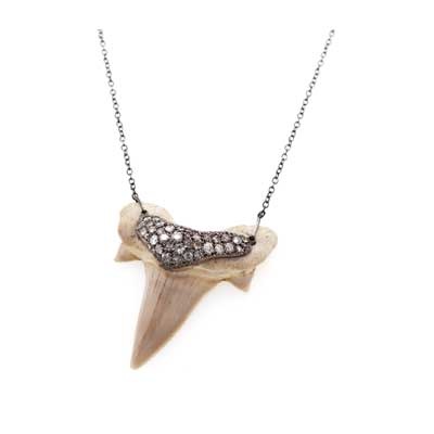 Samira 13 Shark Tooth Necklace