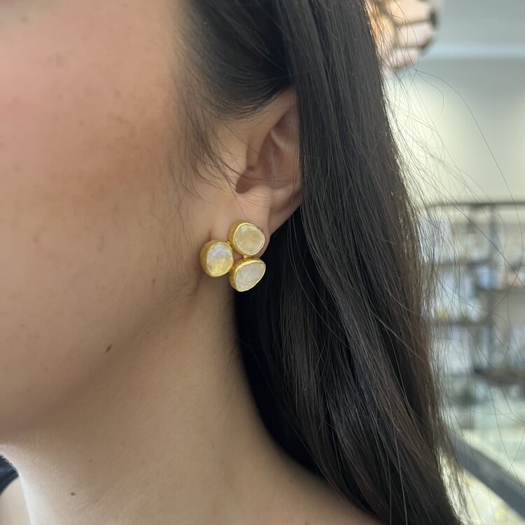 Petra Class Freeform Faceted Moonstone Earrings