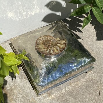 Fossilized Shell Silver Box 11.5" x 11.5"
