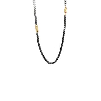 Alishan Oxidized Box Chain Necklace with Gold Barrel Detail