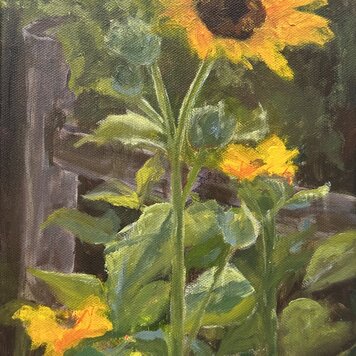 Mallory Sharp Sunflowers At Wendy's