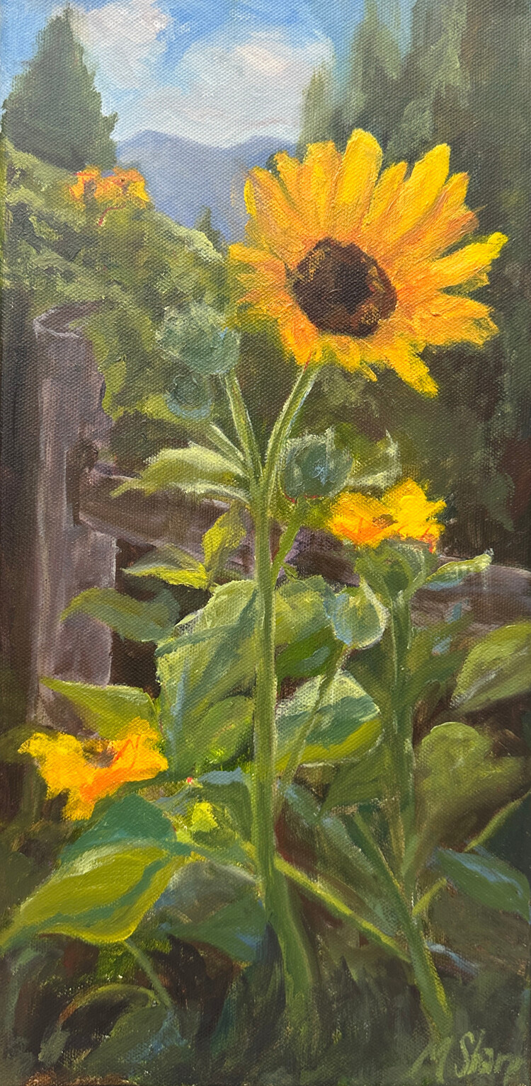Mallory Sharp Sunflowers At Wendy's