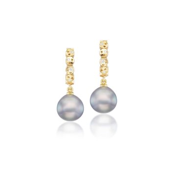 Dana Bronfman Oval Constellation Coin Huggie Drop Earrings with Round Sea of Cortez Pearls