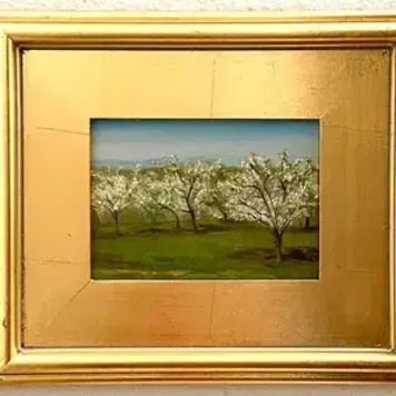 Meredith Fauzel - Nova Scotia Orchard in Bloom - Original Oil