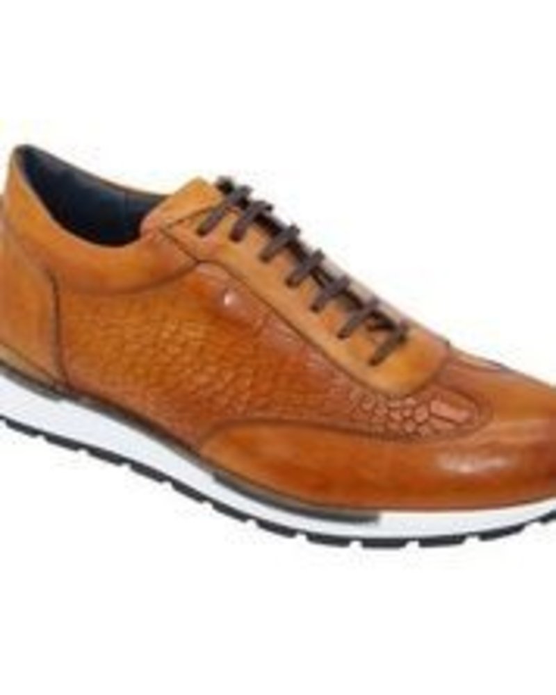 Duca Leather (Varsi) Sneaker