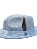 The Julian Straw Hat