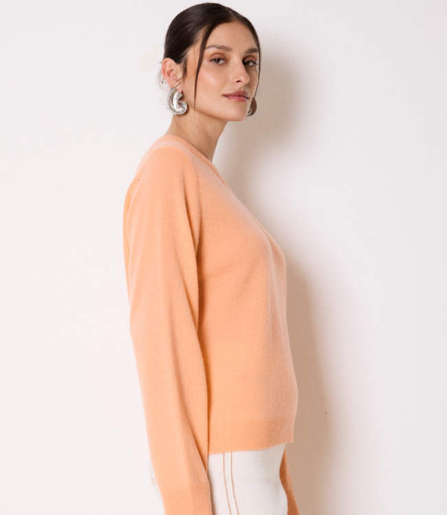 NOT SHY Chandail - NOT SHY-CELINA