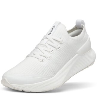 Chaussures - ALLBIRDS-TREE GLIDER