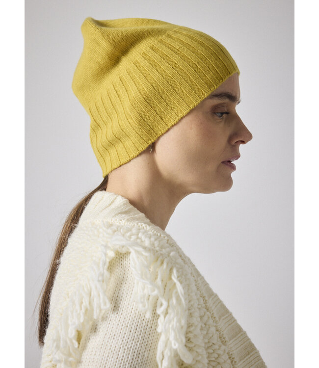 NOT SHY NOT SHY-DORA-TUQUE
