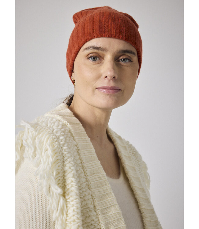 NOT SHY NOT SHY-DORA-TUQUE