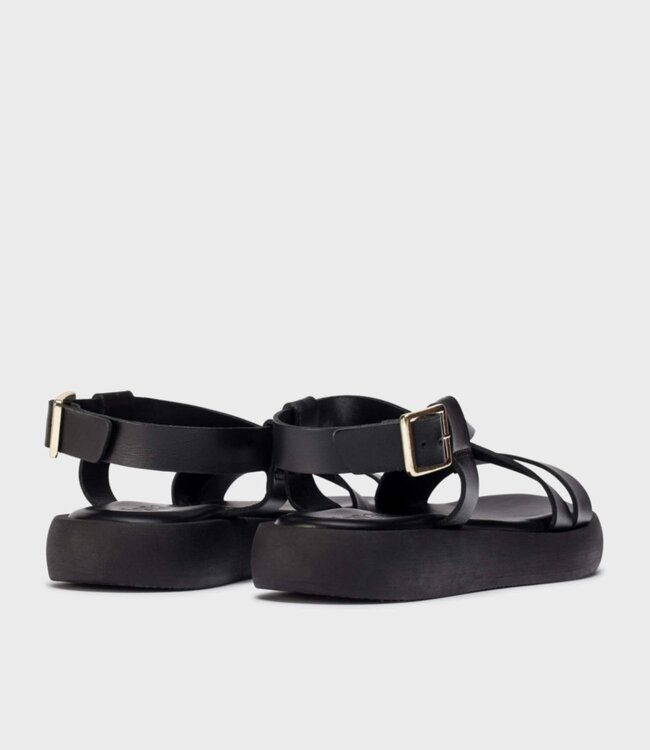 WONDERS WONDERS-AB1402-SANDALE