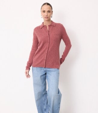 NOT SHY NOT SHY-ALBERTINE-CHANDAIL