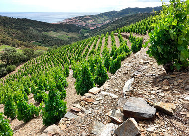 languedoc roussillon france