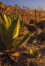 2015 Mezcales de Leyendas Reservas de la Biosfera Cuicatlan Tehuacan - Oaxaca, Mexico (750ml)