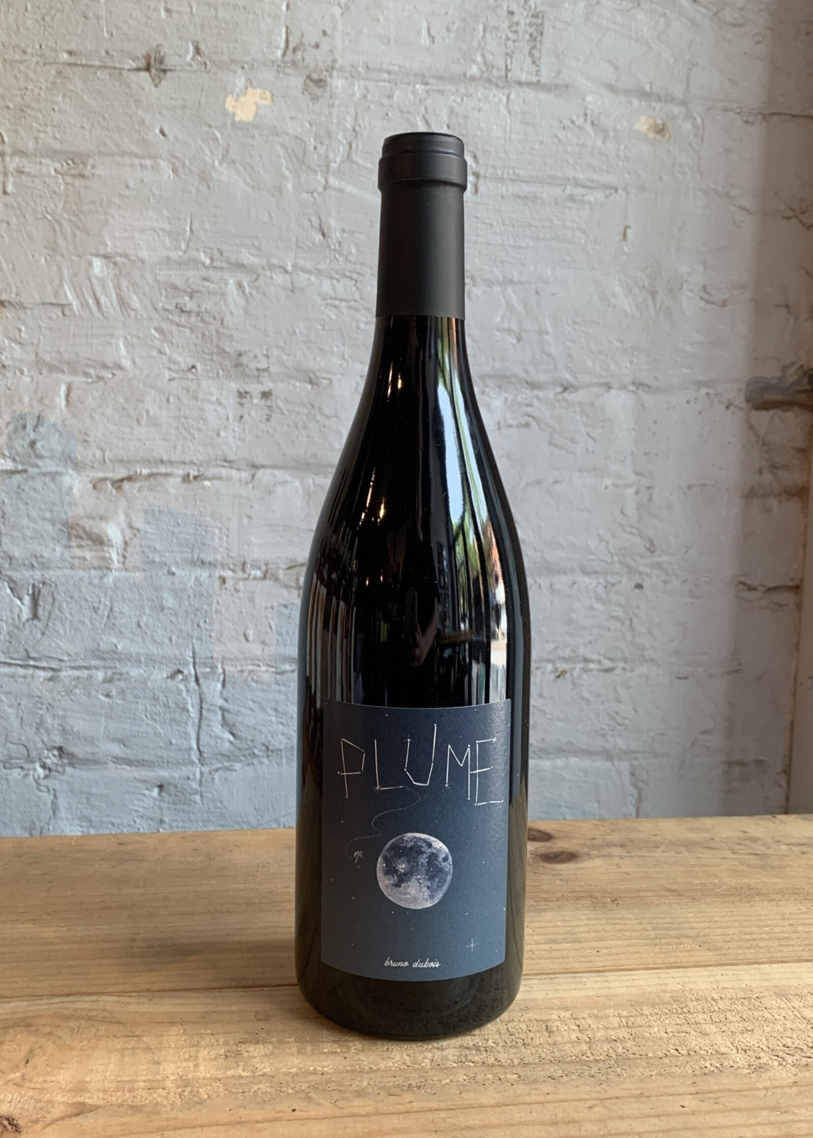 Wine 2020 Bruno Dubois Saumur-Champigny Plume - Loire Valley, France (750ml)