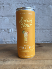 Social Hour Sunkissed Fizz - Brooklyn, NY (250ml) - GNARLY VINES