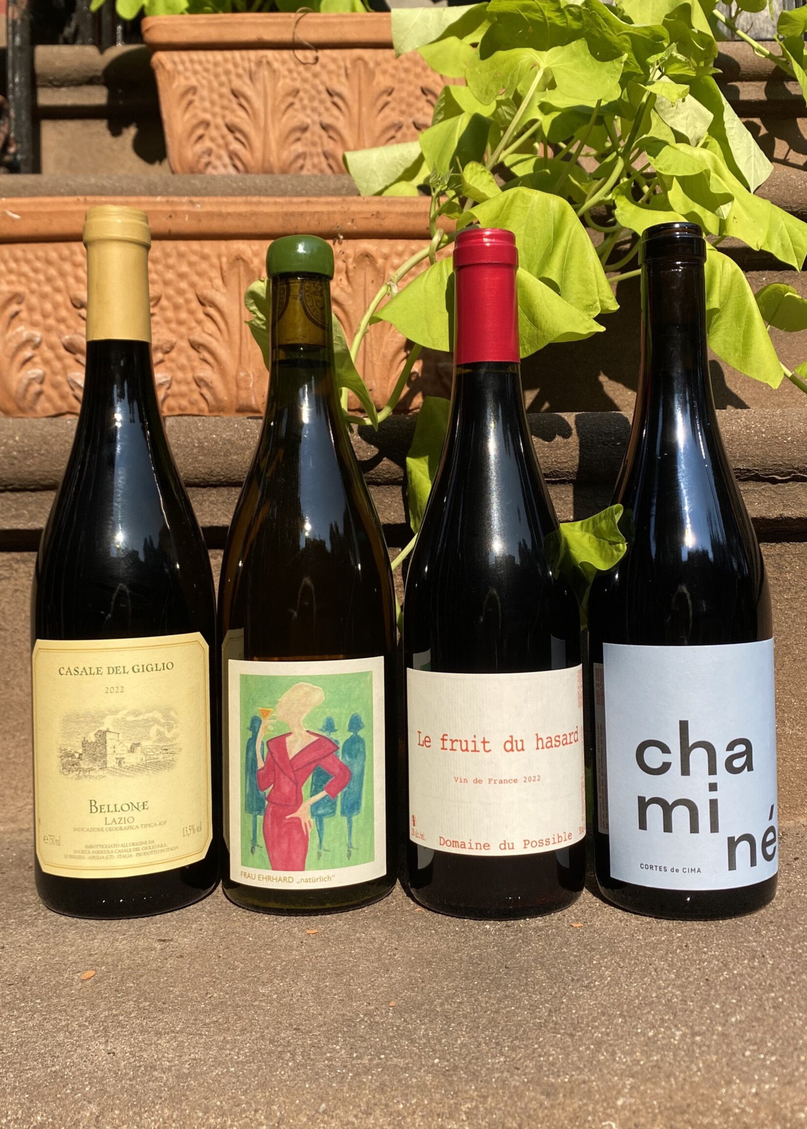 Wine Gnarly Vines September 2024 Wine of the Month Four Pack