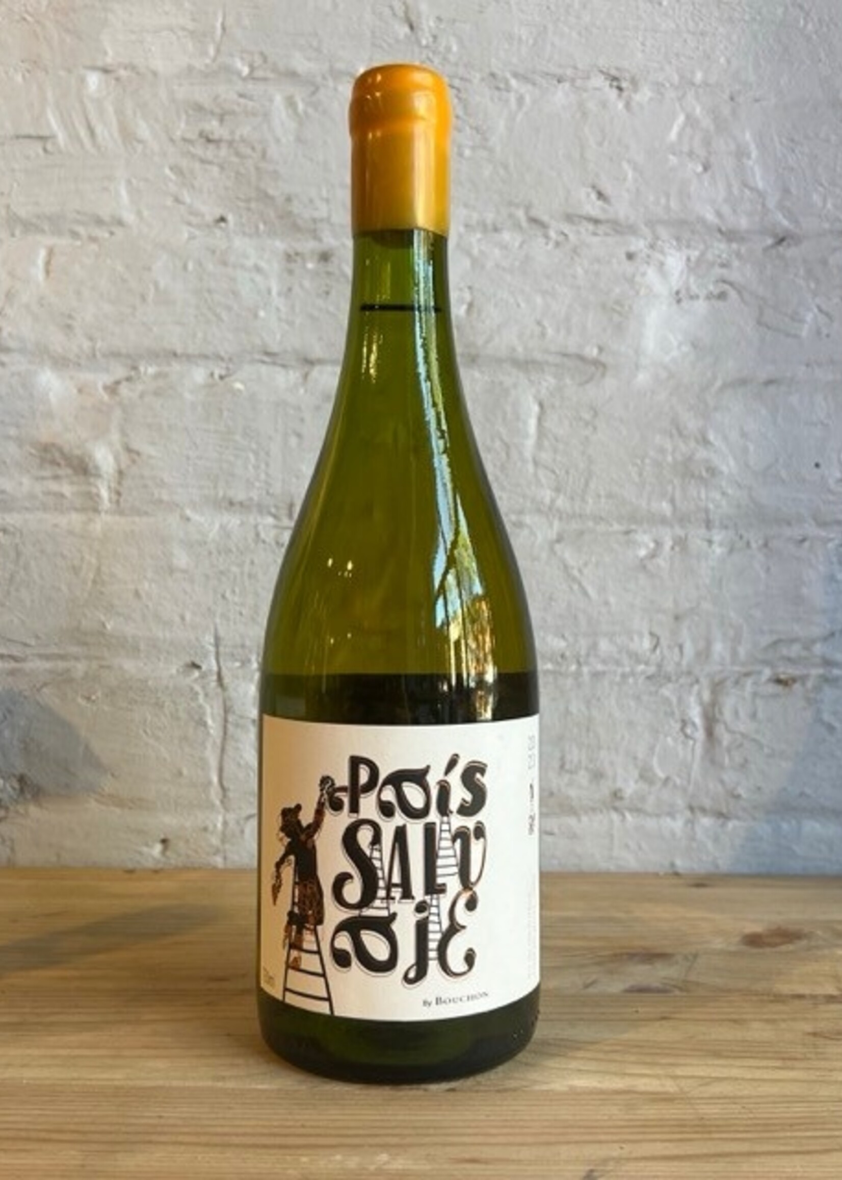 Wine 2022 J. Bouchon Pais Salvaje Blanc - Valle del Maule, Chile (750ml)