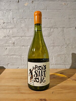 Wine 2023 J. Bouchon Pais Salvaje Blanc - Valle del Maule, Chile (750ml)