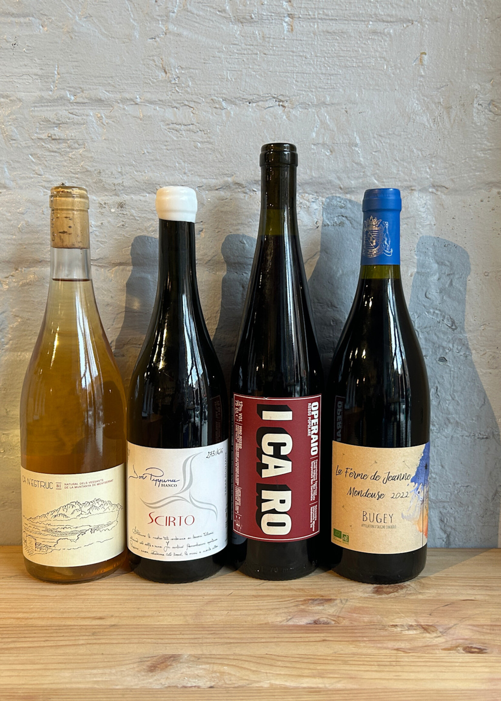 Wine Gnarly Vines January 2026 Wine of the Month Four Pack