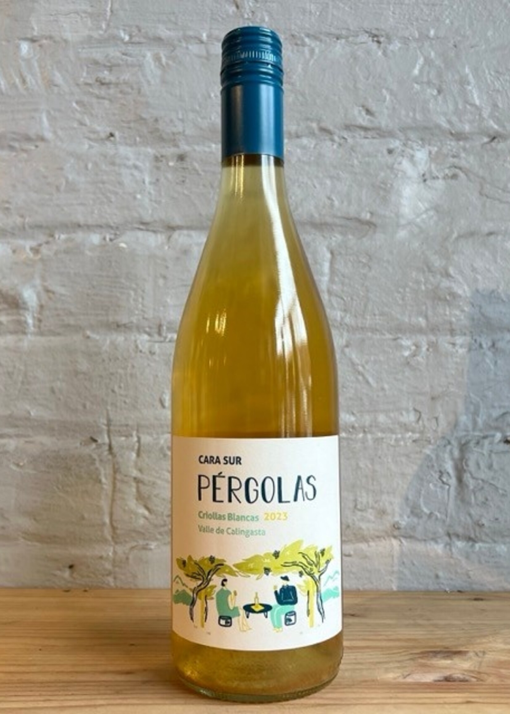 Wine 2023 Cara Sur Pergolas Criollas Blancas - Valle de Calingasta, San Juan, Argentina (750ml)