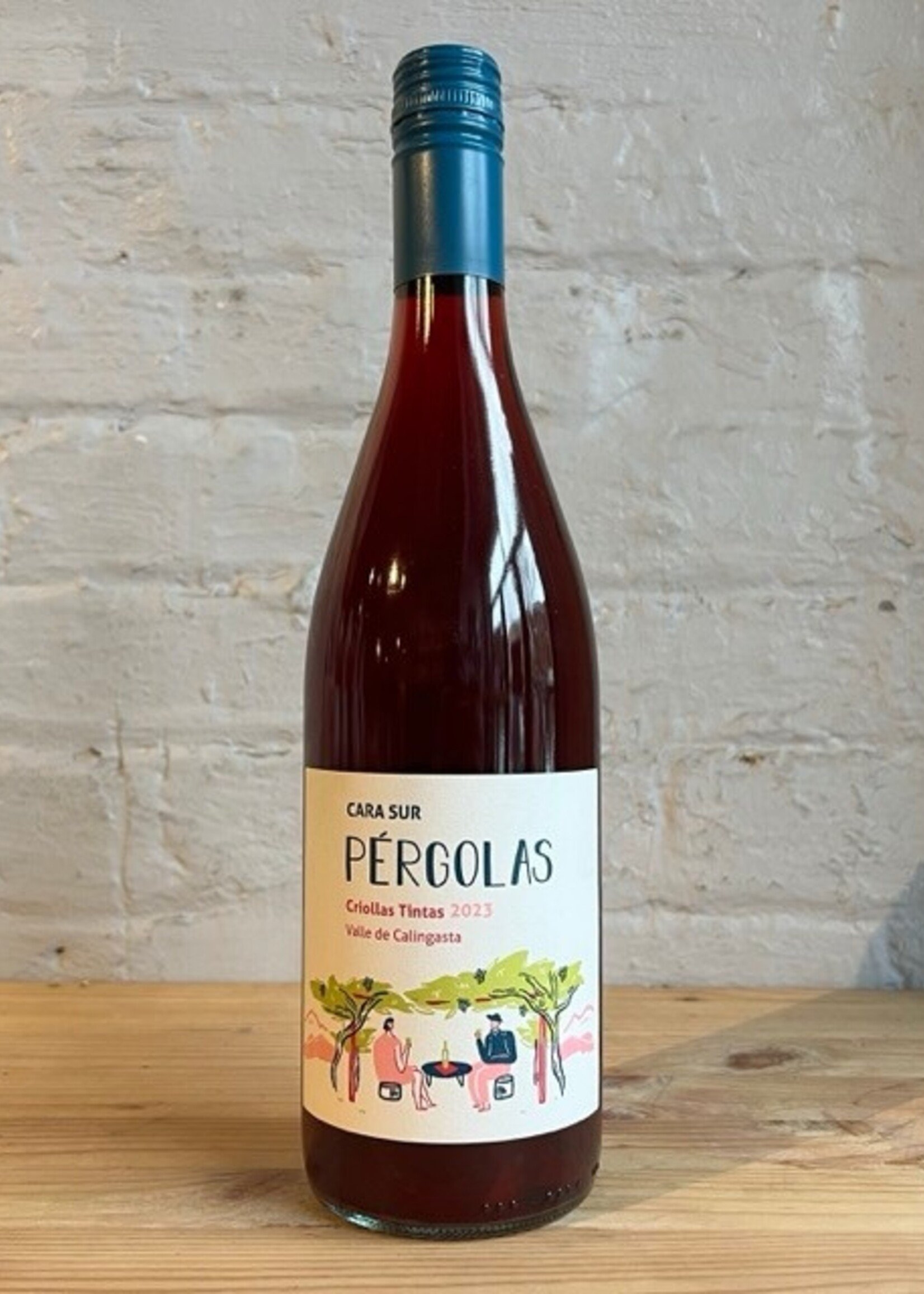 Wine 2023 Cara Sur Pergolas Criollas Tintas - Valle de Calingasta, San Juan, Argentina (750ml)