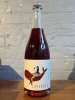Wine 2025 Anapea Village Saperavi Pét-Nat - Kakheti, Georgia (750ml)