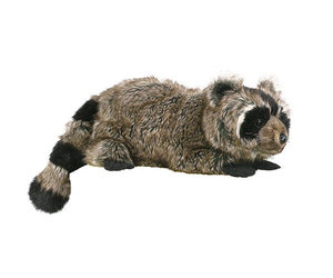 raccoon hugging stuffed animal