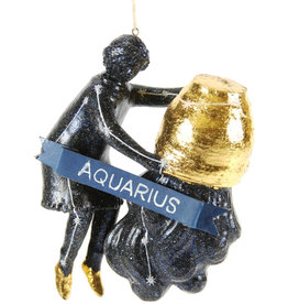 AQUARIUS ORN